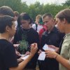 Фестиваль для молодежи «Молфест» 