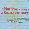 Лекции в «ИЦАЭ OPEN. Жизнь микробов»
