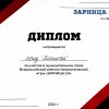 Зарница 2.0 - муниципальный этап