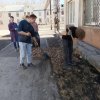 Субботники 