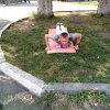 Школа безопасности 
