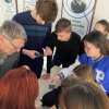 Профориентационный квест 
