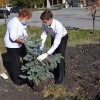  Митинг, посвященный открытию Аллеи славы