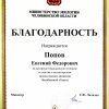 Участие в волонтерском экологическом движении