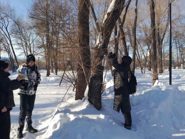 День зимующих птиц 