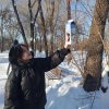День зимующих птиц 