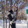 День зимующих птиц 