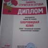 Городской творческий фестиваль «Память стучится в сердца» 