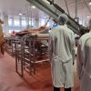 Экскурсии на Агрофирму 