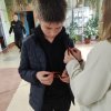 Георгиевская ленточка 