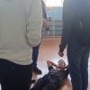 Квест для первокурсников 