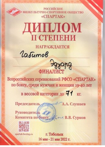Спортивные достижения 