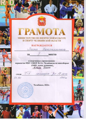 Спортивные достижения 