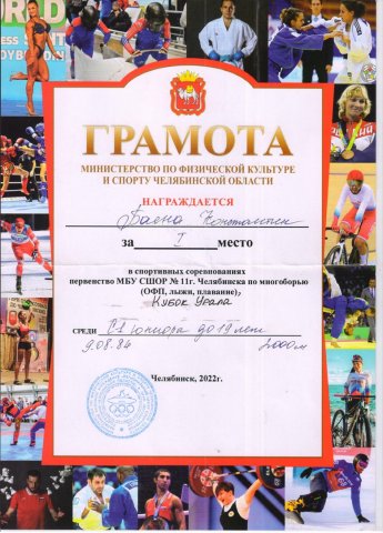 Спортивные достижения 