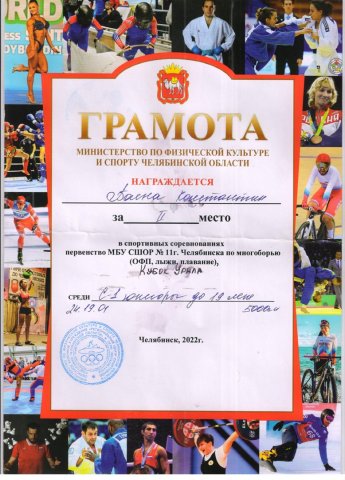Спортивные достижения 
