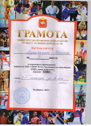 Спортивные достижения 