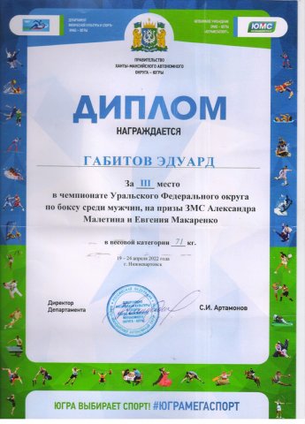 Спортивные достижения 