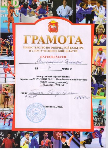 Спортивные достижения 