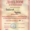 Спортивные достижения 