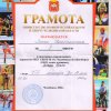 Спортивные достижения 