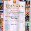 Спортивные достижения 