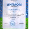 Спортивные достижения 