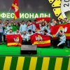Национальный Чемпионат Профессионалы