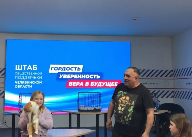 Парад кошек 