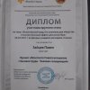 Волонтерский труд. Его значение для общества и воспитательный эффект для волонтера 