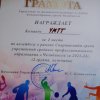 Чемпионат по волейболу