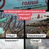  Предметная неделя естественно-научных дисциплин