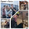 АКЦИЯ - ДОБРЫЕ ДЕЛА